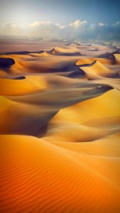 Picture_02_Desert